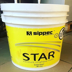 [ PF216-030] [ PF216-030]STAR VINYLIQUE SPECIAL ENDUIT 30KG