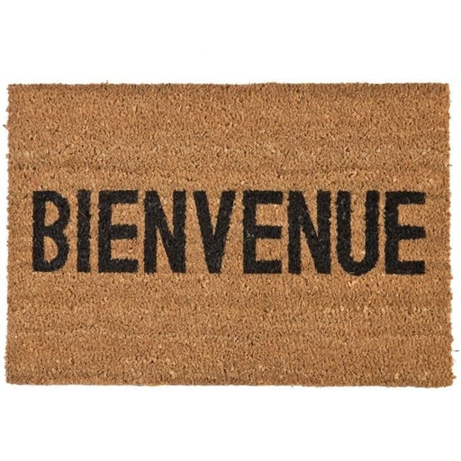 TAPIS BIENVENUE