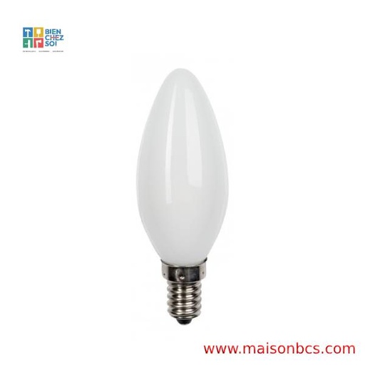 AMPOULE LED 0.6 PROTEGE MOUSSE