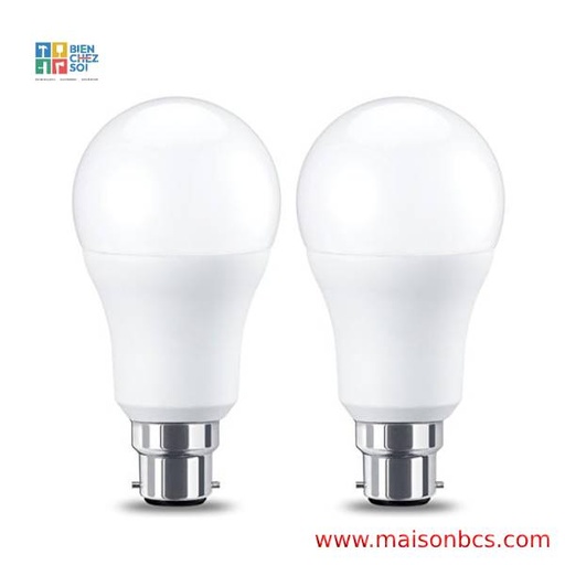 AMPOULE LED 14W EFFICIENT B22