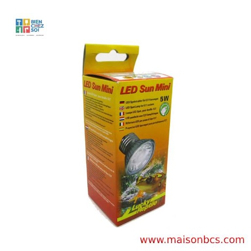 AMPOULE LED 5W LUCKY