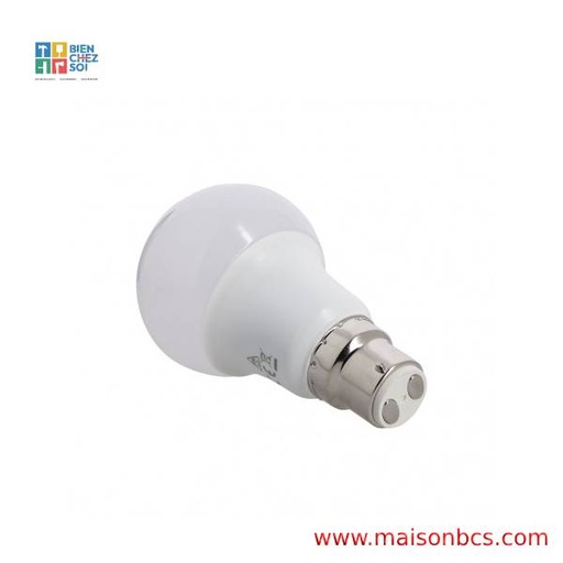 AMPOULE LED 9W EFFICIENT B22
