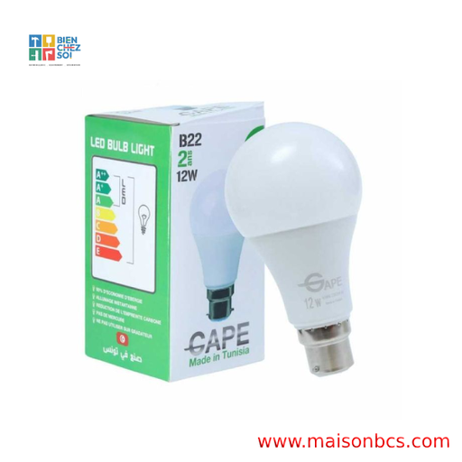AMPOULE LED EFFICIENT 12W ESL B22