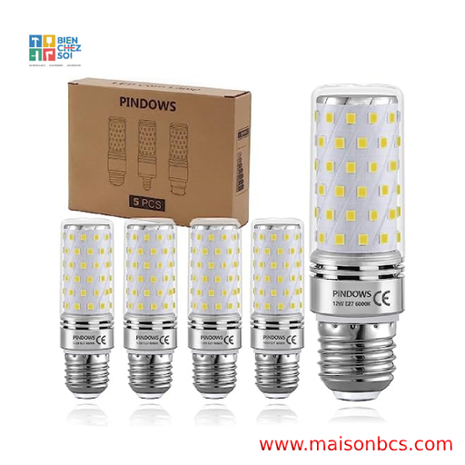 AMPOULE LED EFFICIENT 12W ROHS