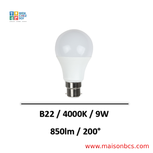 AMPOULE LED HPL 18W B22 CB