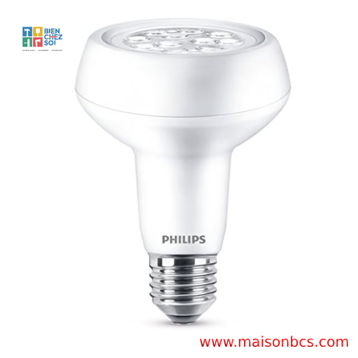AMPOULE LED HPL 18W E27 CB