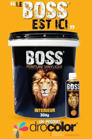[PET101] [PET101]BOSS VINYLIQUE INTERIEUR 30KG DROCOLOR